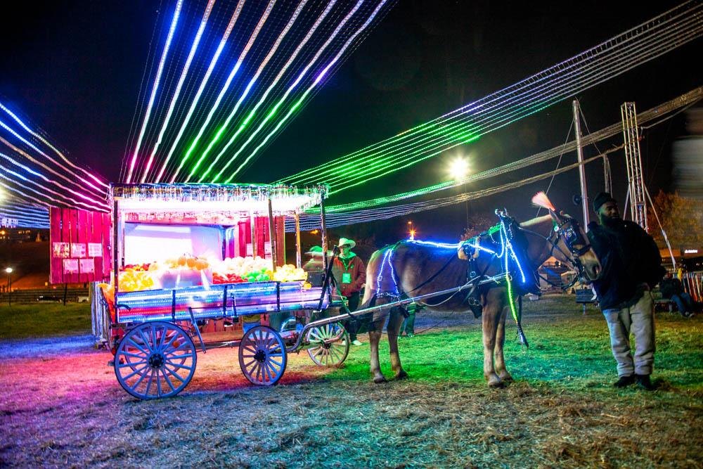Baltimore Fancy — Light City