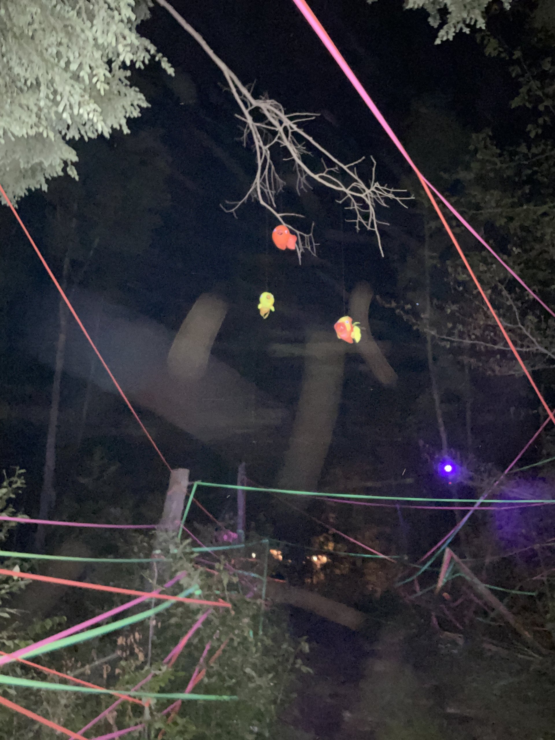Our neon fish swim swim upstream