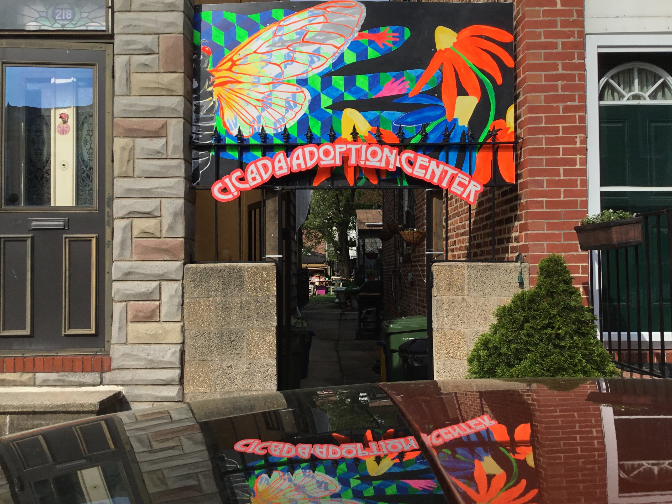 For pick up and sales, we created a big bright cicada sign hung on the front gate. People would schedule a time and come in waves to receive their bug.